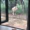 Simba Safaris African Pride Exotic Lodge - Lephalale