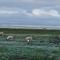 Port Carlisle Caravan near Bowness on Solway