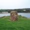 The Seaview Apartment Cushendall - 库申多尔