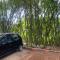 TREKKING TRAILS ECO STAY