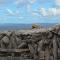 Into The Burren - Murrough