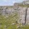 Into The Burren - Murrough