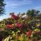 Killarney Farm House. - Killarney