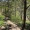 Secluded Lakeview retreat by Eureka Springs-CANOE