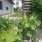 Relax Balaton Apartmanok