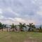 Mirante Surya