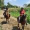 Rancho Santana Horseback Riding