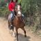 Rancho Santana Horseback Riding