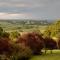 Redwoods Rest / Cabins / Wander & Explore