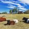 Straw House Farm - STANTHORPE - Dalveen