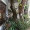 Jacaranda Lodge