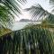 Pearl Divers Beachfront Apartment