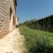 Villa Sole in Central Istria for 10 people with 4 beedrooms and private pool - Butkovići