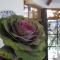 Posada de la Flor