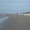 The Nest at Port Royal #1326 - Hilton Head Island