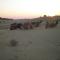 Sam Desert Luxury Resort
