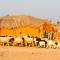 Sam Desert Luxury Resort