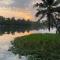 Sunsets and Palm Trees - Alleppey