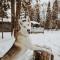 Dog friendly Muskoka. Fun from forest to river. - Huntsville