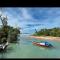The Mangrove