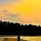 The Mangrove