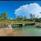 The Mangrove