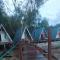 The Mangrove