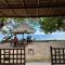 Dolphin Homestay