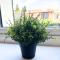 Oxford Kidlington 6 Bed 5 mins to Oxford Parkway