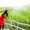 Hotel C7 Munnar Hotel C7 Munnar