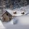 Chalet Aria Pura - Лівіньо