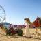 Royal Oceanic in JBR by HAPPY SEASON - Dubai