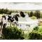 Oaklands Farm Stay - Van Reenen