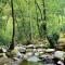 Zen River Retreat