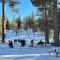 Four Seasons Getaway-Private Hot Spa-Walk to Village-Walk to Pineknot Trailhead-Plus King Bed! - بيغ بير لاكي