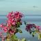 Infinity Luxury Villa - Stunning Sea and Piton Views