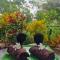 Dream Villa Sigiriya