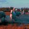 Camping L Arlesienne