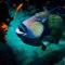 Sodwana Bay Lodge Dive & Fishing Resort