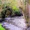 Hafannedd Cottage - riverside views - Corwen