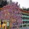 Mangos Guesthouse