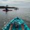 4 FREE Kayaks for use & short drive to the beach! - Bolivar Peninsula