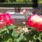 Bella Rosa