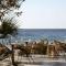 Numo Ierapetra Beach Resort Crete, Adults only, Curio Collection Hilton