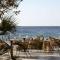 Numo Ierapetra Beach Resort Crete, Curio Collection Hilton - Ierapetra