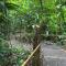 Yogachal Vista Mar Bamboo House in the Jungle