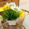 99 Glory Beach Resort - seaview, poolview, beachfront,wifi - 芙蓉