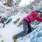 Pension Alpin