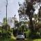 Coorg Homestays Madikeri
