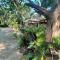 Sunny Cove Beach Resort Koh Phayam